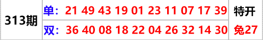 大赢家→「单双各10码」期期公开313.png